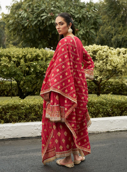 Tarana Viscose Glass Organza Luxe Red Kurta Set
