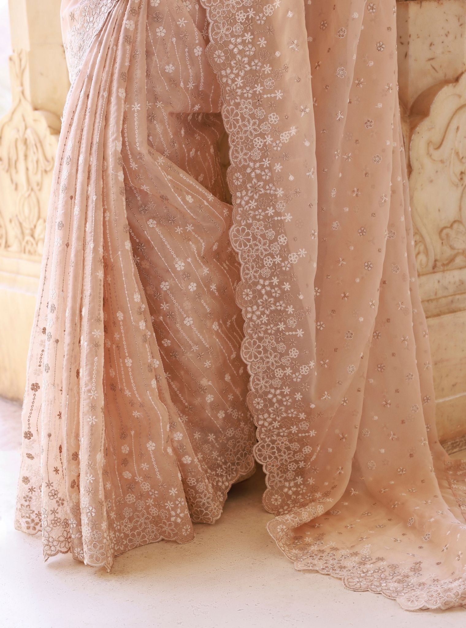 Ahlira Organza Beige Saree