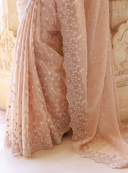 Ahlira Organza Beige Saree