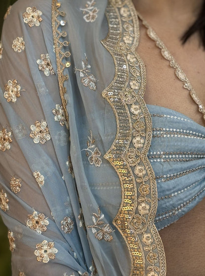 Paola Organza Light Blue Lehenga