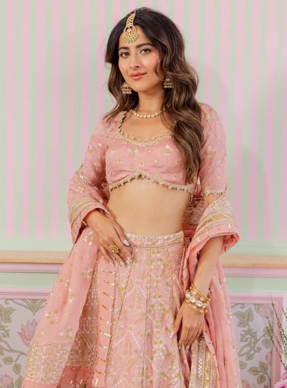 Anton Bemberg Silk Pink Lehenga